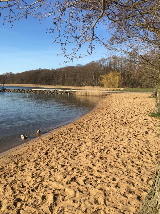 Ferienhaus Mit Bootssteg Am See In Rheinsberg Exterior photo